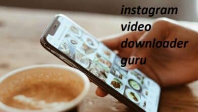 instagram video downloader guru