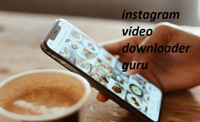 instagram video downloader guru