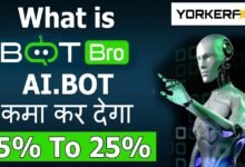 Is BotBro safe in India? Learn about its features, risks, and benefits to make an informed decision about using this platform.